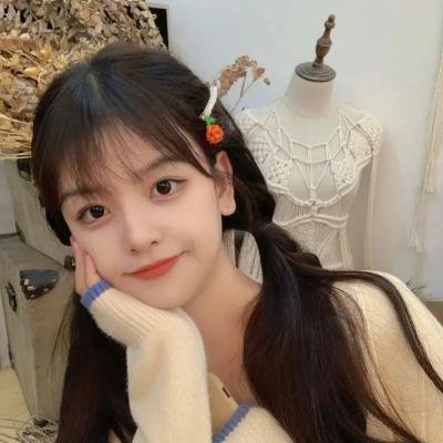 鸽之翼